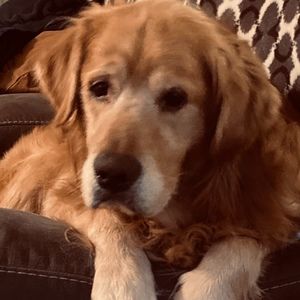 Meet your Posher, Brandi